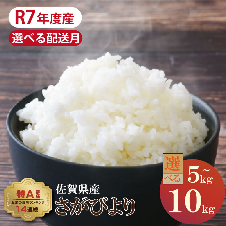 【ふるさと納税】【先行予約】【選べる配送月・内容量】 佐賀ブランド 米「 さがびより 」（5kg・10kg）有明潮風ファーム 精米 白米 キロ 単位 もちもち 食感 冷めても 美味しい お一人様 ご家族用 ランキング 特A 評価 【B160-011】