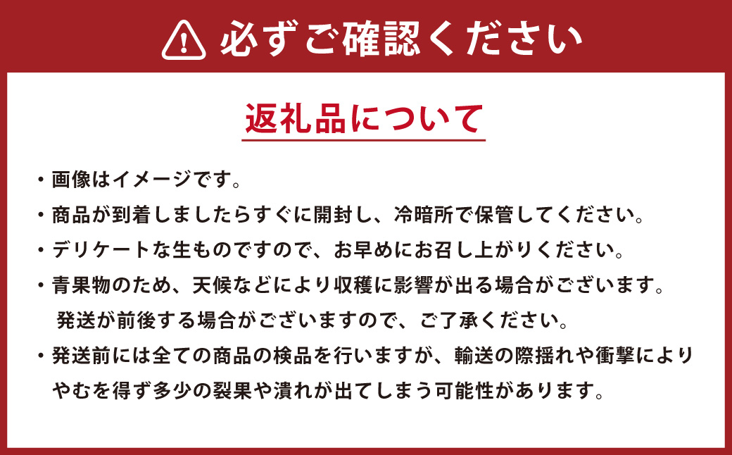 【年3回定期便】 くまもと の メロン 食べ比べ 定期便 合計5玉 果物 くだもの フルーツ 【2025年4月下旬発送開始】