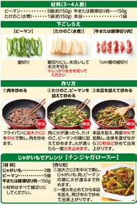 青椒肉絲の素（3～4人前／袋） 110g／袋×12パック【V002820CHI12】