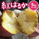 【ふるさと納税】さつまいも 紅はるか 国産 5kg 約 200～350g 15本 ～ 18本 甘い 糖度 高い 高糖度 1ヶ月 熟成 濃厚 味わい しっとり ホクホク 常温発送 宇佐川農園 芋 焼き芋 福岡県 久留米市 お取り寄せ お取り寄せグルメ 野菜 送料無料