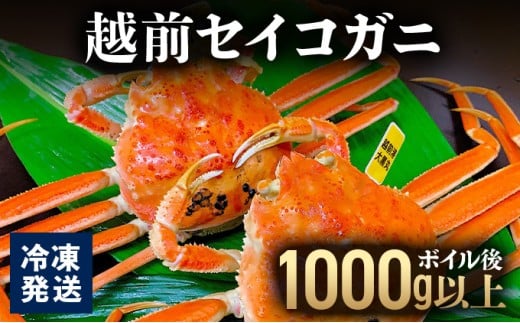越前セイコガニ 　ボイル後1,000g以上 (ボイル前1,150g前後) 冷凍 お届け時期：11月10日以降順次発送【マイマルシェ 敦賀 越前蟹 カニ 蟹 セイコガニ 海鮮 かに鍋 かにしゃぶ NEW 新規】[090-a018]