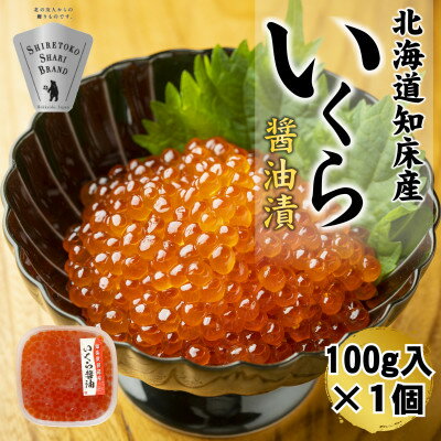 【ふるさと納税】【北海道知床産】鮭いくら醤油漬け 100g【配送不可地域：離島・沖縄県】【1696466】