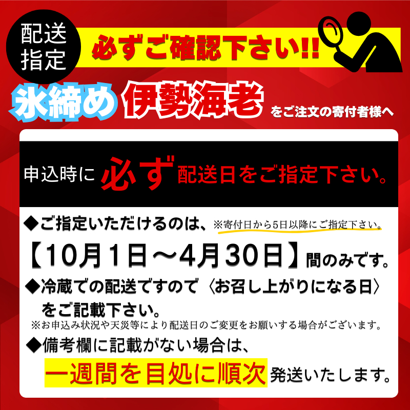 【伊勢海老】 活き伊勢海老 600g以上 600g以上