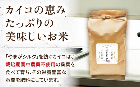 やまがシルク米 5kg【株式会社 あつまるホールディングス NSP山鹿工場】[ZBR040]