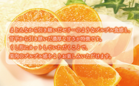 【紅プリンセス と 同一品種】訳あり プリンセス 4.5kg