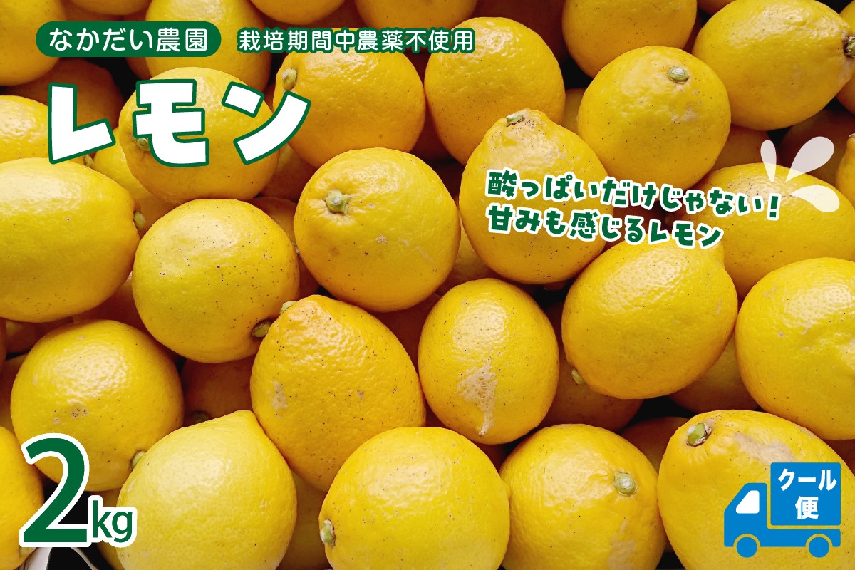
                  【2026年5月～発送】栽培期間中農薬不使用「レモン」約2kg【クール便】ku033-003-25
                