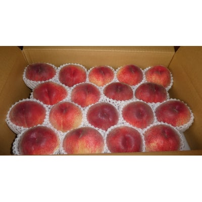 厳選朝採り桃 山梨の笠井桃園の桃 約5kg【配送不可地域：離島】