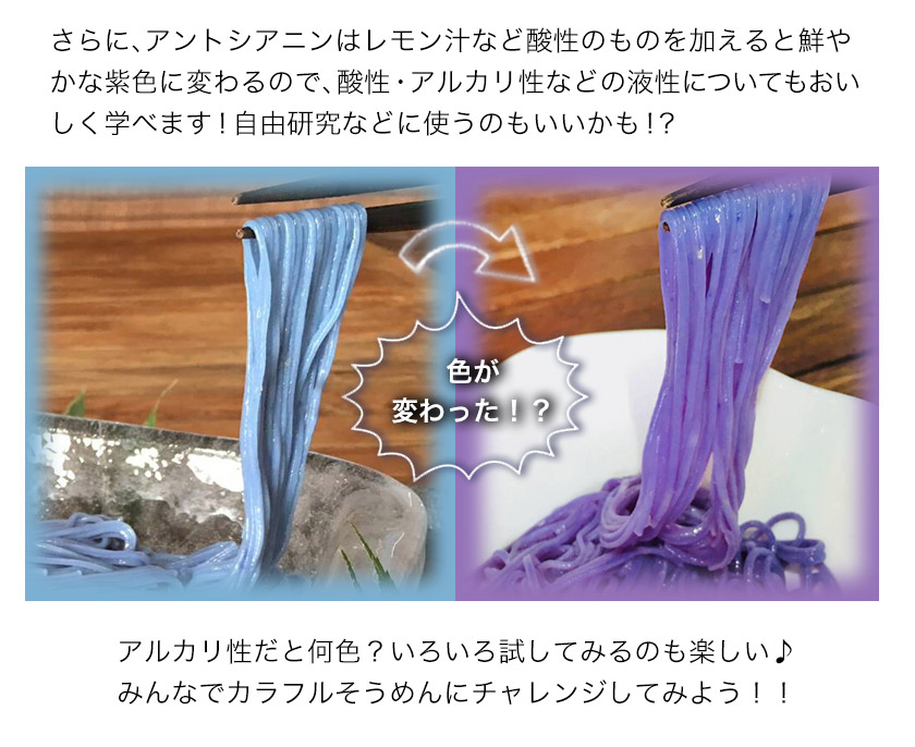 そらいろそうめん薄色 選べる 2セット 3セット 6セット 福永幸山堂《30日以内に出荷予定(土日祝除く)》_イメージ5