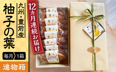 【全12回定期便】【進物箱】柚子の葉 8枚入り[VBU019]ギフト 贈り物 和菓子