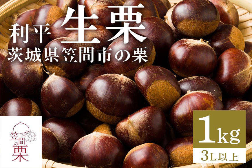 
                  【2026年 秋 先行予約】 笠間の栗・箱田農園の生栗「利平」1kg（3L以上） 栗 クリ くり 生栗 期間限定 数量限定 茨城県 笠間市
                