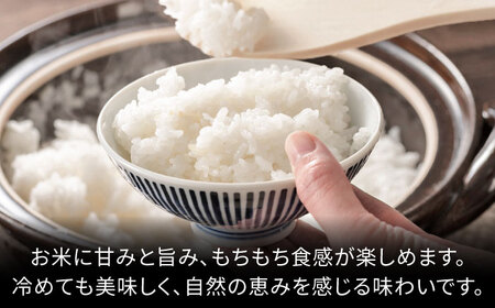 ＜令和7年度産＞れんげ畑のおくるぎ米 10kg/環境保全米 お米 おこめ/御嵩町/株式会社アオキ[AVBN006]