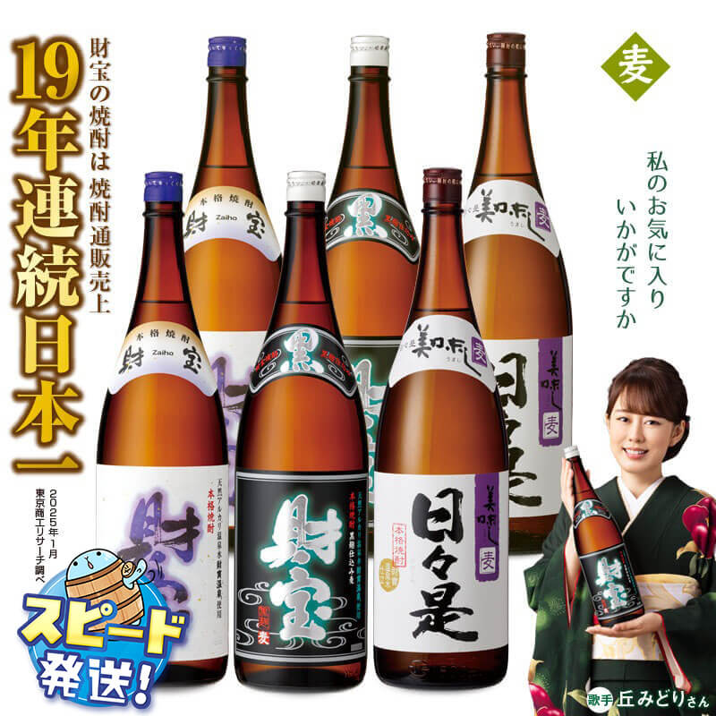 麦焼酎 一升瓶 3種6本 飲み比べ セット 焼酎 麦 財宝 天然アルカリ温泉水 財寶温泉 使用 お歳暮 お中元 ギフト にもぴったり【財宝】