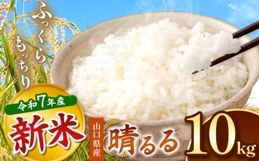 令和7年度産 新米晴るる 白米10kg 先行予約 ＜ 2025年12月～より順次発送予定 ＞｜ 米 精米 新米 白米 米 雑穀 お米 コメ 単一米 晴るる はるる  山口 美祢 秋吉台 10kg