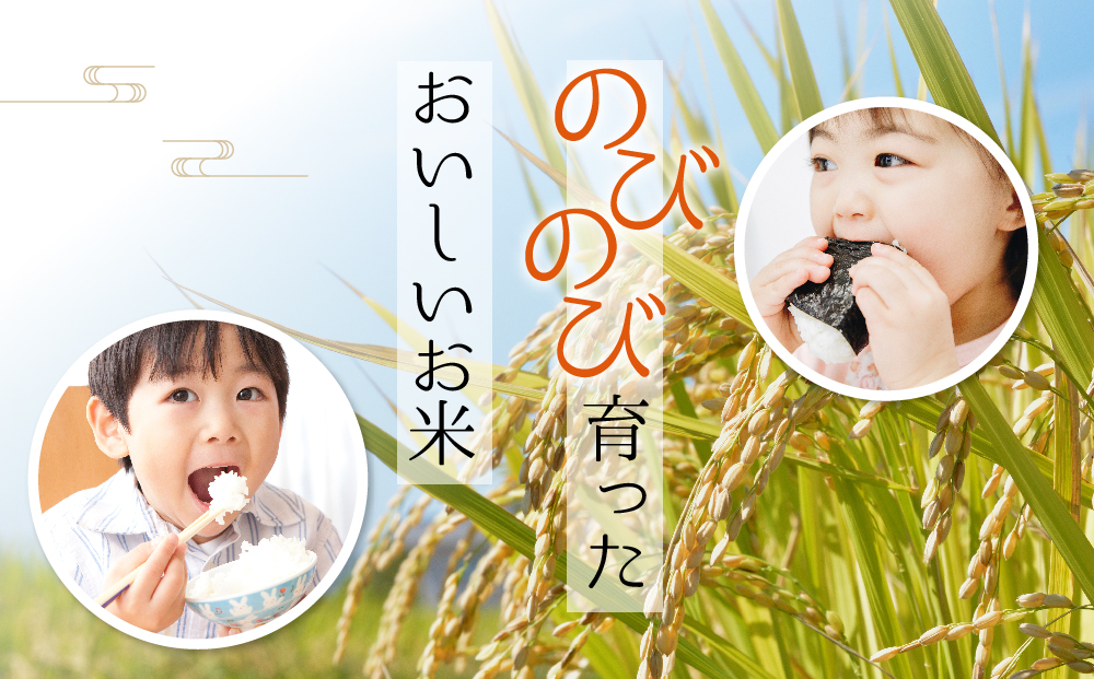 【選べる内容量】コシヒカリ 農家指定無 令和6年産 阿蘇の美味しいお米をお届け！10kg(5kg×2袋) お米 米 精米 白米 人気 美味しい 甘み 香り ツヤ おすすめ 熊本県 阿蘇市 10kg