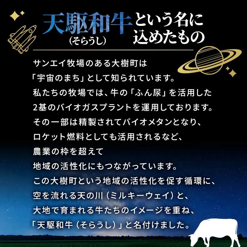 「天駆和牛(そらうし)」サーロイン ステーキ 250g A5 黒毛和牛 北海道十勝大樹町産【配送不可地域：離島】【1722135】