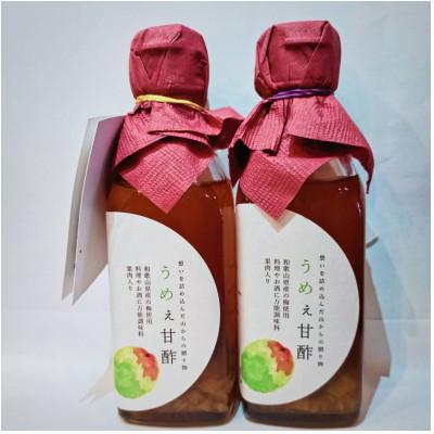 ふるさと納税 日高川町 ~山からの贈り物〜やまねいろのうめぇ甘酢　200ml×2瓶