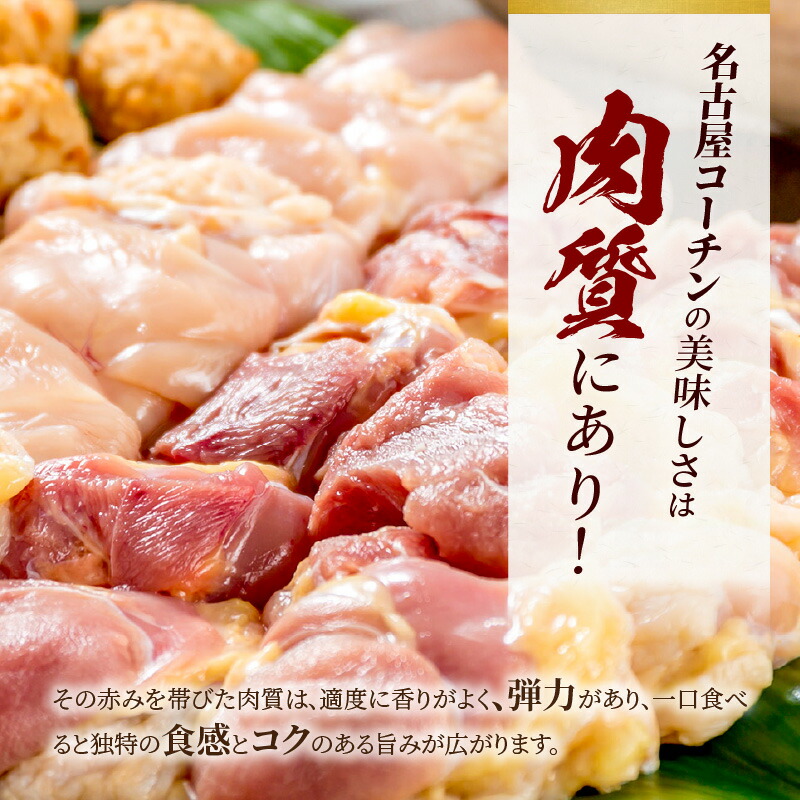 名古屋コーチン鍋セット 日本三大地鶏 鍋セット 鶏肉 もも肉 肉団子 鍋料理