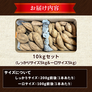 期間限定 安納芋 10kg 黄金 種子島 さつま芋 セット 【なかたね農産】n332