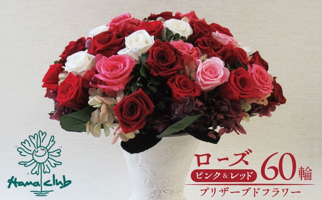 
            【日付指定可能】プリザーブドフラワーローズ（ピンク＆レッド）60輪のアレンジメント  薔薇 バラ ギフト プレゼント ラッピング 産地直送 インテリア お花 フラワー  ボリューム満点 H193-020
          