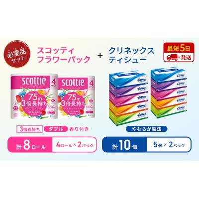 ふるさと納税 岩沼市 ティッシュ+トイレットペーパー2P   [No.5704-1776] |  | 01
