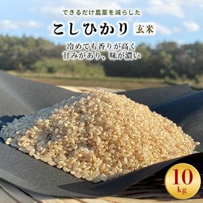 ふるさと納税 行方市 令和8年産新米【できるだけ農薬を減らした】こしひかり玄米10kg