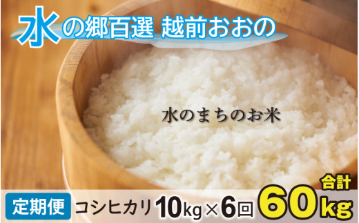 【令和7年産 新米】【6ヶ月定期便】こしひかり 10kg×6回 計60㎏【白米】「エコファーマー米」水のまちのお米