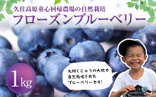 
            【2025年8月上旬より発送開始】久住高原童心回帰農場の自然栽培フローズンブルーベリー1kg 冷凍 ブルーベリー
          