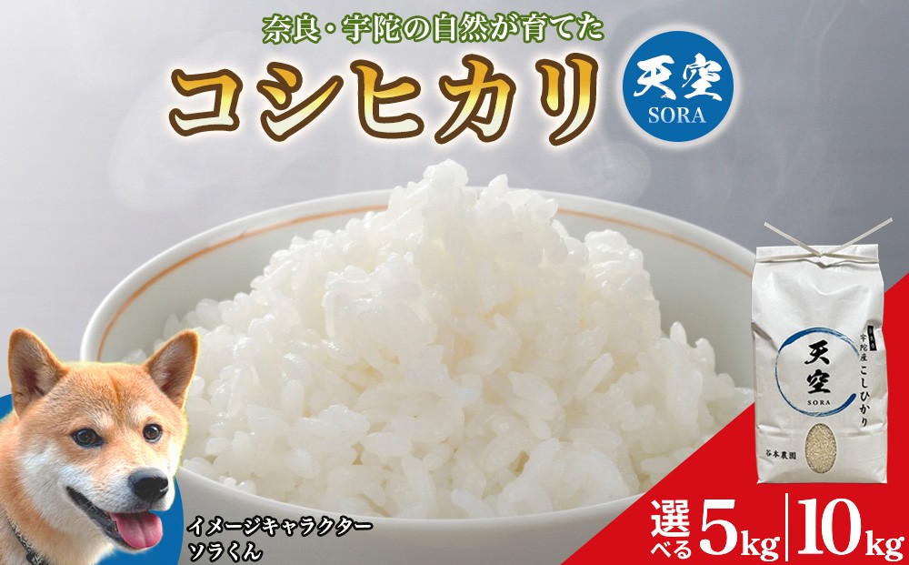 
                  令和8年産 宇陀の自然が育てた 天空【sora】コシヒカリ 5kg・10kg ／ 令和8年 コシヒカリ米 こめ お米 お取り寄せ 美味しい オススメ 精米済 新米 白米 奈良 宇陀
                
