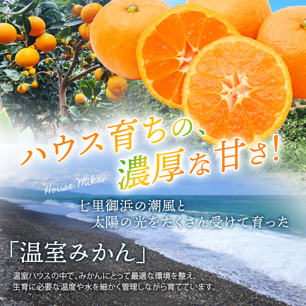 【数量限定】仲森農園の温室みかん 2.5kg 【2026年7月より順次発送予定（お届け日指定不可）】 みかん ミカン 蜜柑 温州みかん 温州ミカン 柑橘 フルーツ 果物 くだもの 産地直送 三重県 熊