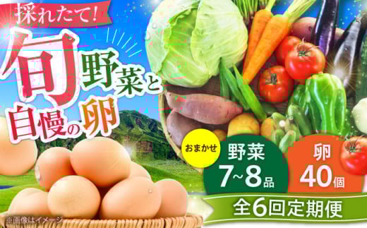 【全6回定期便】【新鮮たまごと旬の野菜セット(野菜7~8品程度＋40個) / 菊陽町 たまご 生卵 タマゴ 詰合せ セット 新鮮 季節 やさい ヤサイ 料理 調理 前菜 副菜 旬 卵 タマゴ 特産  熊本県 菊陽町 特産品 にんじん ごぼう キャベツ まとめて 新鮮 ごはん 季節 旬 九州 野菜 不足 解消 初心者 にも おすすめ おまかせ【有限会社さんふれあ】 [BHAK010]