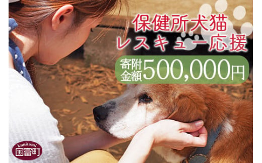 
＜保健所犬猫レスキュー【返礼品なしのご寄附】＞寄付金額500,000円※お礼状をお送りいたします。【 動物愛護 保護 犬 猫 いぬ ねこ イヌ ネコ 動物 どうぶつ ペット 応援 支援 寄付 使い道 いのちのはうす保護家 】
