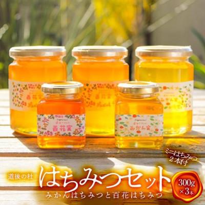 ふるさと納税 松山市 道後の杜 はちみつセット(300g×3本)　ミニはちみつ2本付き