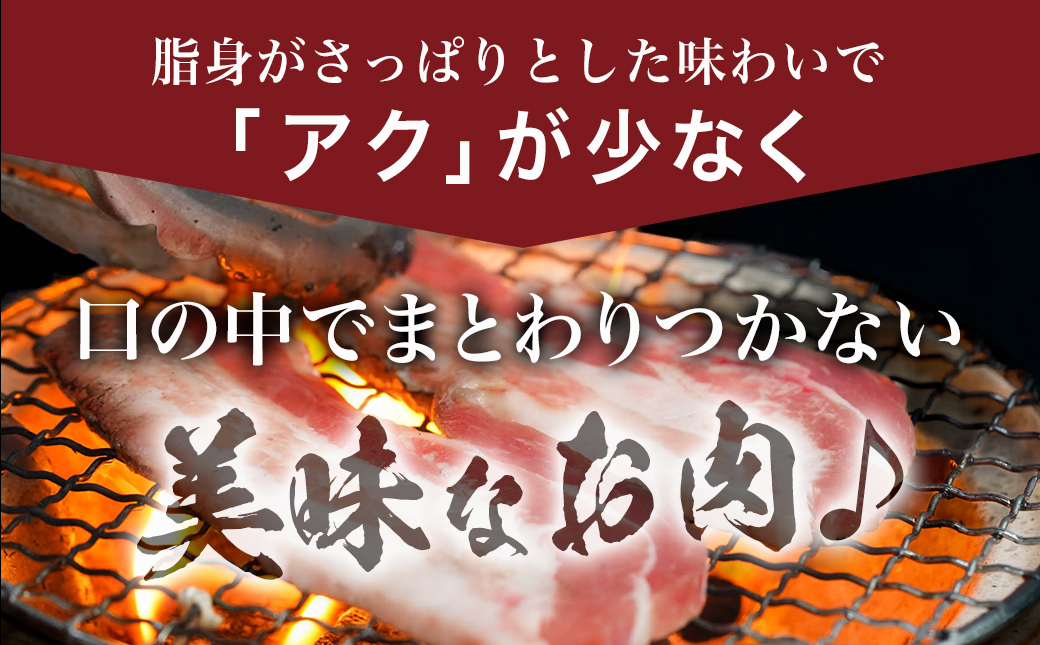 宮崎県産豚わくわく4.35kgセット(真空)≪みやこんじょ快速便≫(CP)_AC-8403-s-R-CP