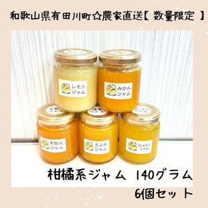 【お中元】数量限定！店主にお任せ 無添加 柑橘ジャム140ｇ×6個 【2024年7月1日～8月5日ごろ順次発送】