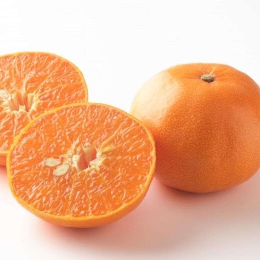 ＜宇和島青果＞せとか　2.5kg