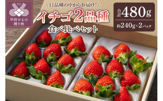 【2025-2026発送分】イチゴ2品種食べ比べセット いちご イチゴ 苺 先行予約 食べ比べ セット ギフト 贈答 プレゼント 採れたて フルーツ 2品種 約240g×2パック 冷蔵 フルーツ王国山梨 甲府市産