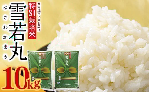 【特別栽培米】 新米 山形県産 雪若丸 10kg（5kg×2袋）令和7年産 ／ 2025年産 白米 精米 お米 米 小分け ブランド米 ごはん 東北 国産 10キロ 山形県寒河江市　0350-C-JA042