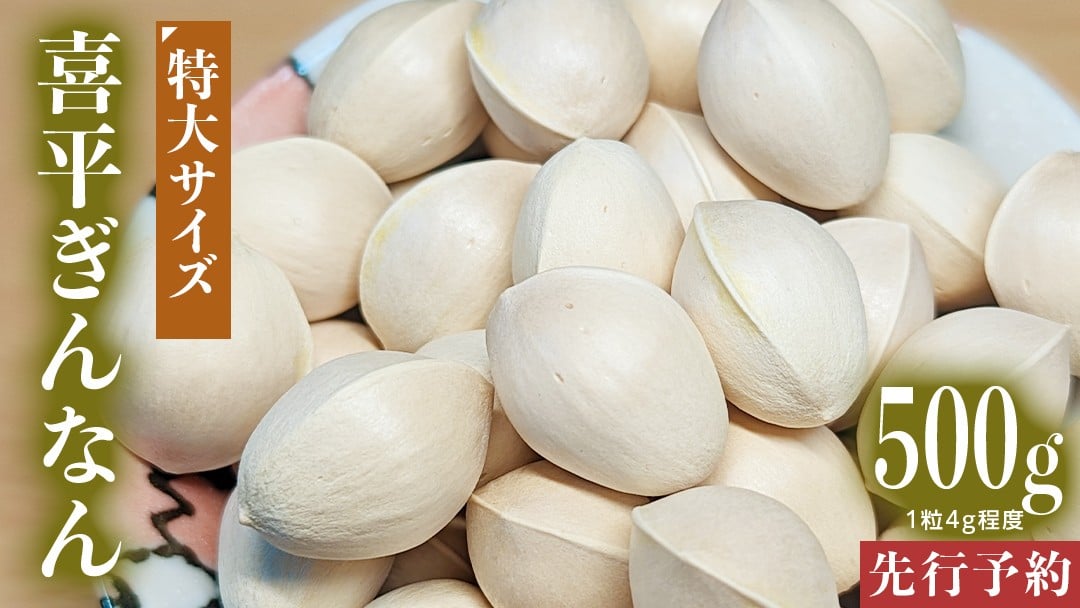 
            【先行予約】 喜平 ぎんなん 500g (1粒4.0g程度・特大サイズ) 【2025年10月中旬より発送開始】  イチョウ 秋 美味 栄養満点 健康 高血圧予防 むくみ改善 疲労回復 美肌
          