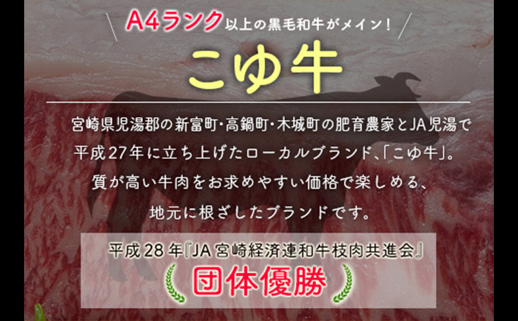 宮崎黒毛和牛＜こゆ牛＞3種(カルビ･モモ･バラ)焼肉セット 計600g【C404】
