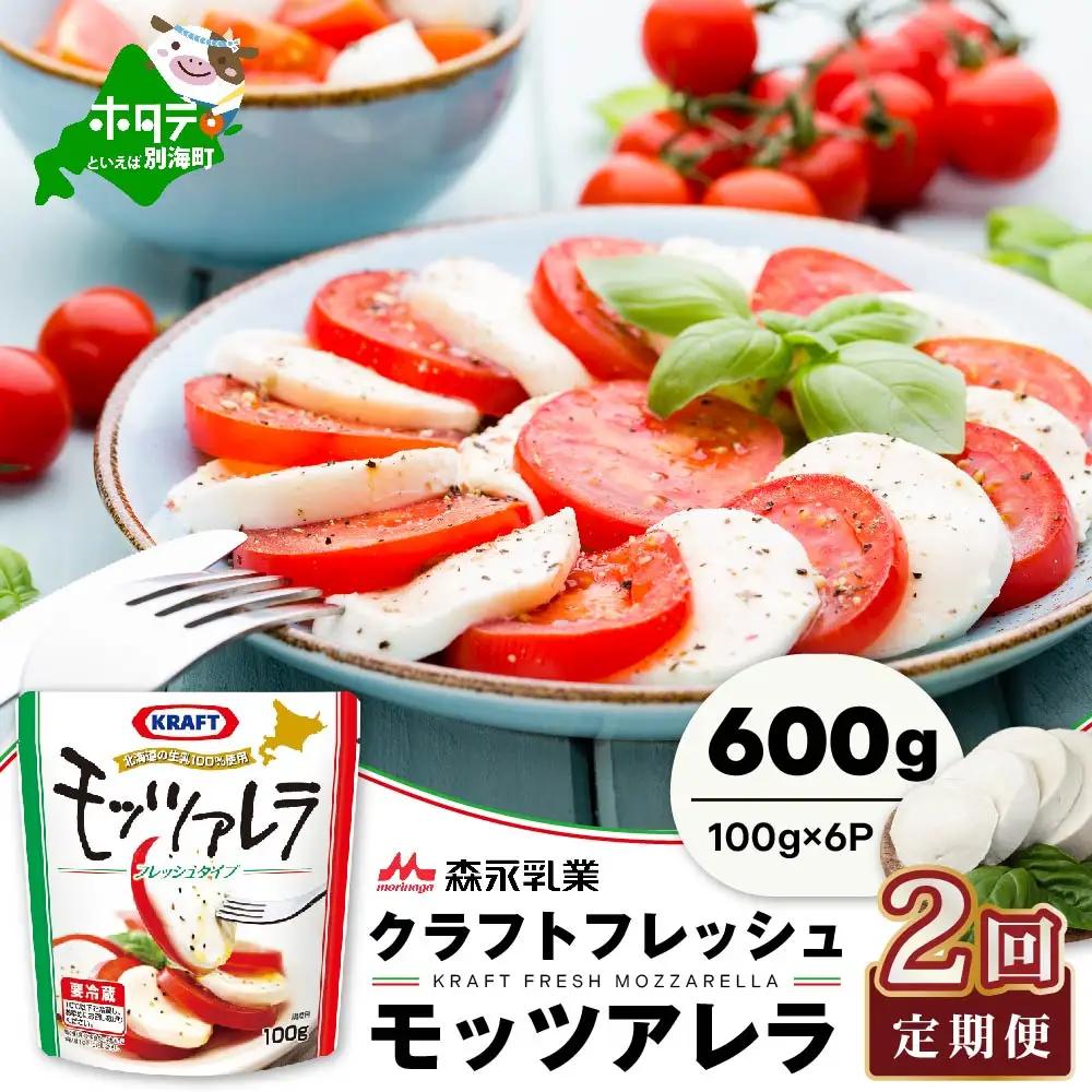 【定期便】森永乳業 モッツァレラチーズ 600g(100g×6P) × 2ヵ月 全2回  （ チーズ モッツァレラ 北海道 別海町 人気 ふるさと納税 ）