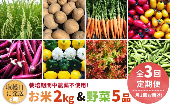 
                  【全3回定期便】【☆畑直送☆栽培期間中農薬不使用！】お 米 2kg & 野菜 5品 の セット 糸島市 / オーガニックナガミツファーム 	[AGE036]
                