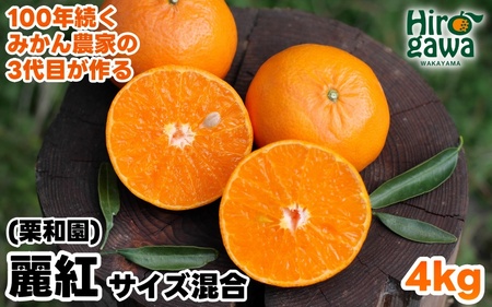 麗紅 （ れいこう ） 4kg / オレンジ 甘い 和歌山 有田 柑橘 ※2月中旬〜3月下旬に順次発送 【krw012-r-4】