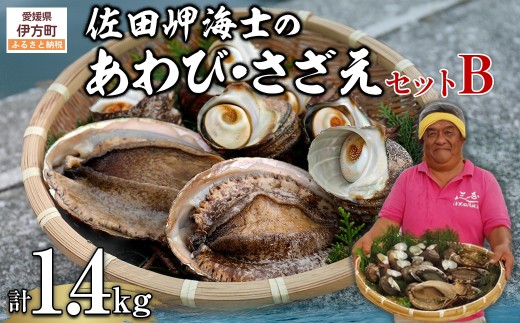 【数量限定】佐田岬海士のあわび・さざえセットB ※北海道・東北地方・沖縄・離島への配送不可【 ふるさと納税 人気 おすすめ ランキング あわび 鮑 赤あわび アワビ さざえ サザエ 海鮮 セット 詰め合わせ 佐田岬 愛媛県 伊方町 送料無料 】 IKTJ002