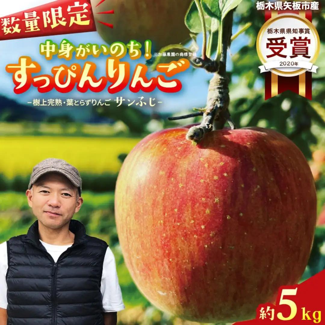 樹上完熟・葉とらず・すっぴんりんご [ サンふじ ] 5kg 栃木県産