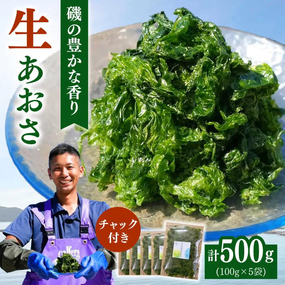 上五島産 生あおさ 100g×5袋【ごとうみ】[RCR001]