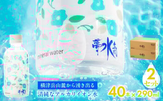 ミネラルウォーター夢水氣（290ml×40本）2セット 天然アルカリイオン水 軟水 【ふるさと納税 人気 おすすめ ランキング 天然アルカリイオン水 天然水 ミネラルウォーター 横津岳山麓 北海道 七飯町 送料無料】 NABI004