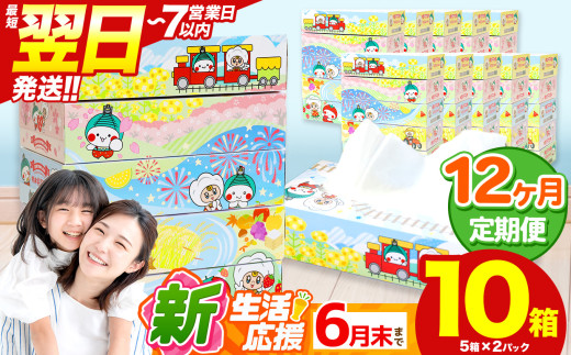 最短翌日発送 人気急上昇 高評価 ティッシュ BOX  【 定期便12回 】5箱 × 2パック  |  限定 最大 真岡市 オリジナル 300枚 150組 5箱 10箱 30箱 60箱 定期便 便利 日用品 雑貨 必需品 紙 柔らかい なめらか 蒸気機関車 SL 栃木県 真岡市 PR 災害 備蓄 大容量