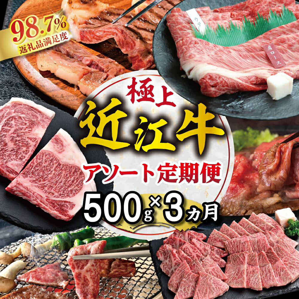 【ふるさと納税】【期間限定】極上近江牛500g　食べ方色々！アソート定期便 国産 牛肉 近江牛 ブランド牛 日本三大和牛 リブロース カルビ 霜降り バラ モモ 肩ロース ウデ ステーキ / 焼肉 / すき焼き 食べ比べ
