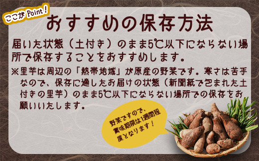 やまがた伝統野菜 「子姫芋（里芋）」3kg 《土付き》 山形県産 令和7年産 【2025年11月中旬頃～2026年3月頃配送予定】　012-B-MM037 3kg 《土付き》