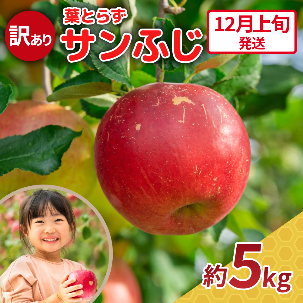 【2026年12月上旬発送】 訳あり りんご サンふじ 約5kg 青森 果物 【 訳アリ リンゴ 林檎 ふじ さんふじ 】